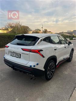 جيتور داشينج